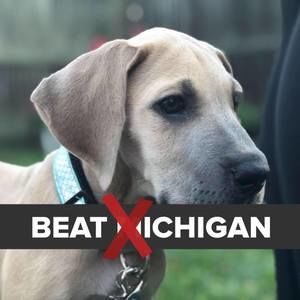 Meet your Posher, Ian